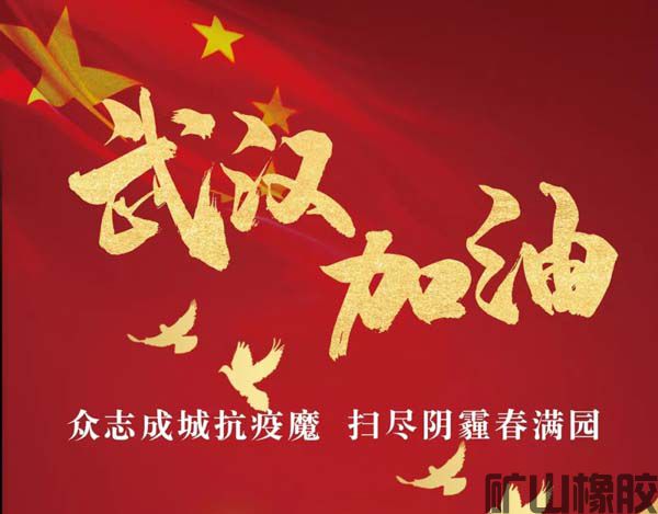 齊心協(xié)力，共抗疫情——遠程指導(dǎo)安裝橡膠襯板(圖1)